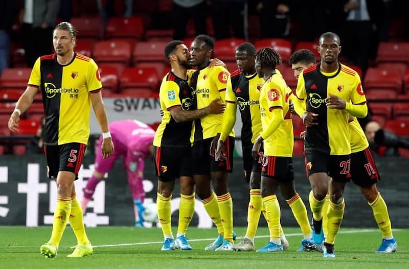 Giới Thiệu Thông Tin Về Đội Bóng Watford